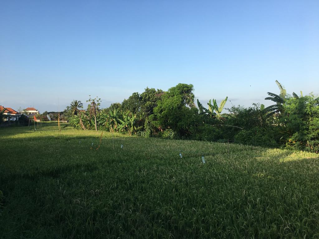 Gangga Guest House Canggu  Ngoại thất bức ảnh